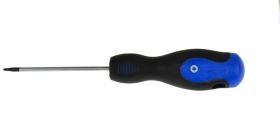 WKRĘTAK T10 TORX-H T10Hx100mm