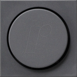 065028 Knopf für Dimmer anthrazit