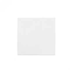 Simon 55 Klawisz pojedynczy do: SW1M, SW6M, SW7M, SP1M Biały mat TKW1/111