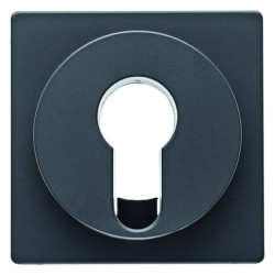 Element centralny do łącznika na klucz Q.1/Q.3 antracyt aksamit 15076086