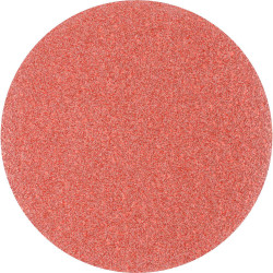 PFERD 45017761 Router Sandpaper 125mm 60 Grit 25 pcs for universal use