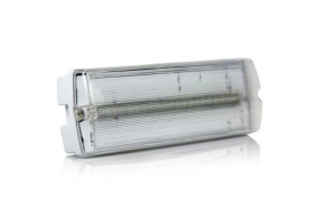 Oświetlenie awaryjne IP65 Przegroda czołowa 6,5 W LED Bulkhead