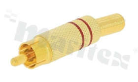 CHFR0101SR