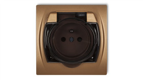 Logo Gniazdo Bryzgoszczelne Z/U (Klapka Dymna) Złoty Metalik 8Lgpb-1Zdp