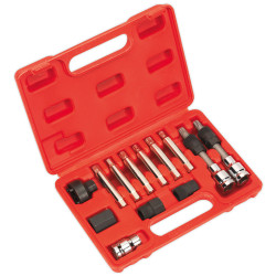 Sealey SX401 Alternator Freewheel Removal Set 13pc