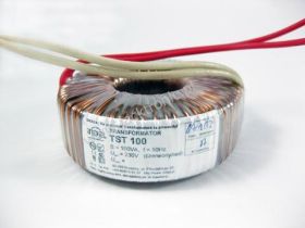 TST100W 2x19V(100/010)2x2,63A TOROID.