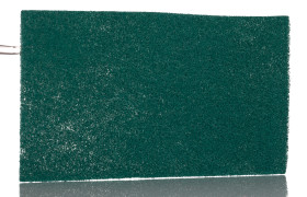 Płatek czyszczący, typ: Warstwa ścierająca, Zielony
