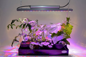 Lampa LED do roślin wspomagająca wzrost Venso E503 200 65 cm 230 V LED wbudowany na stałe 35 W 1 szt.