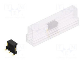SL10SMD0405.GBSM