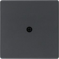 Płytka czołowa do przyłącza kablowego, antracyt aksamit, lakierowany
