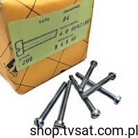 1691 Screw M4x40 DIN84 SCREW REYHER
