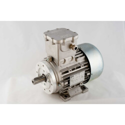 Silnik elektryczny EX 0,25 kW 1430 obr/min OH071A4W2305Q4U