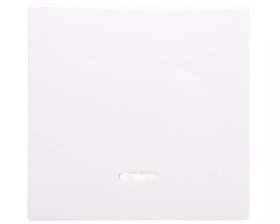 Merten System M Klawisz pojedynczy z sygnalizacją biel polarna MTN436019