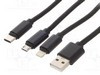 CC-USB2-AM31-1M