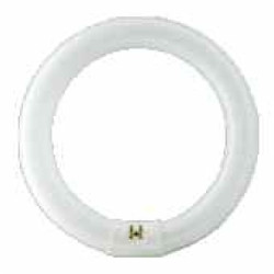 Świetlówka kołowa TL-E 22W/840 G10q PHILIPS