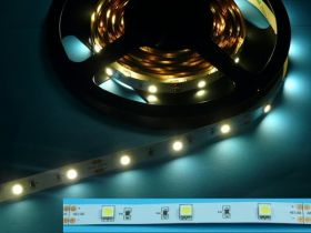 5050WB LED PCB GIĘT.12V 10cm=1szt WW