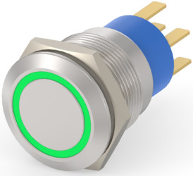 Vandal-proof pushbutton, 2 pole, silver, illuminated  (green), 0.4 A/250 VAC, mounting Ø 19.2 mm, IP67, 5-2213767-4