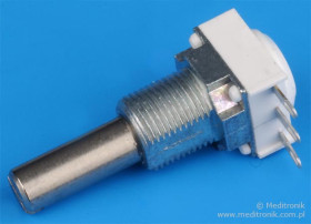 PMP11S1V0FLSY00504KA 500K