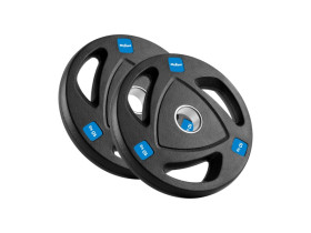 Zestaw obciążeń żeliwnych gumowanych 2x10kg,...