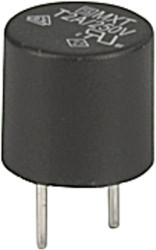 Micro fuse 8.5 x 8.5 mm, 2 A, T, 250 V (AC), 100 A breaking capacity, 0034.6918