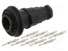 PXV0729/P