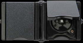 954905008 proAQA central earthed outlet, 2-fold, hinged cover, black