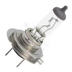 24V H7 70W PX26d Basic Wurth 2983