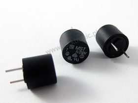 Bezp.MST 500mA/250V