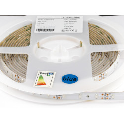 4,8W/m taśma 300led 3528 60led/m NIEBIESKA IP64 SILIKON