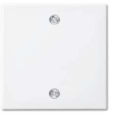 Busch-Jaeger Zaślepka Wyłącznik pull Busch-balance SI czysty biały (ral 9010), biały 2CKA001753A0224 1 szt.