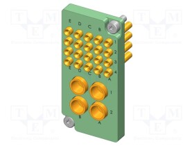 IGN-31867