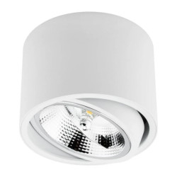 Oprawa Natynkowa Halogenowa SPOT TUBA Ruchoma GU10 AR111 Okrągła Biała 100mm TELES LUMILED