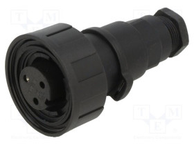 PXV0731/S