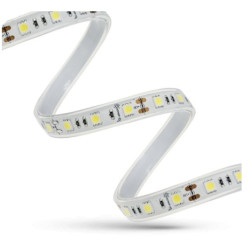 Taśma LED IP44 600SMD3528 2Y ciepła 5m SPEC 570634