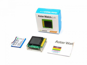 Aster Watch EVB