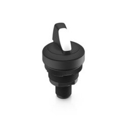 Wyłącznik kluczykowy IP65, DPST, 100mA 1-Way