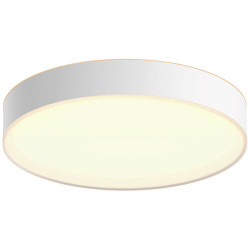 Philips 4116031P6 Hue LED Ceiling Light 33.5W Bluetooth Control Dimmer
