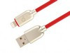 CC-USB2R-AMLM-2M-R