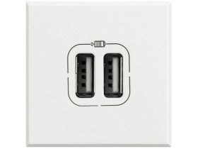 AXOLUTE Ładowarka USBx2 2,4A 5V 2 modułowa biały HD4285C2 LEGRAND