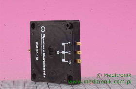 PD550-S233 2X10K PW55/01