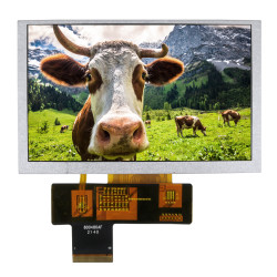 Wyświetlacz LCD TFT 5cal IPS TFT WVGA 800 x 480pikseli RGB I/F Nie NEWHAVEN DISPLAY INTERNATIONAL
