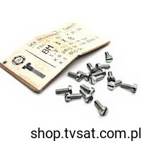 BM3X8-TGL0-84-WN30.100 M3x8/DIN84 SCREW TAMBACH