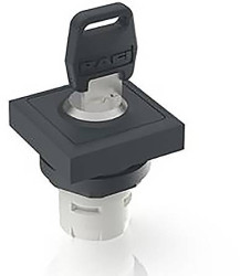 RAFI 1.30.076.041/0000 RAFIX 16 Przełącznik kluczykowy 1 x 90 ° 1 szt.