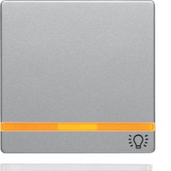 Klawisz 2 socz. nadr. symb. "światło" łącz. 1-kl., alu aks, lak