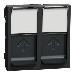 Złącze RJ45 Gniazdo Złącze RJ45 Montaż wpuszczany Schneider Electric, proste