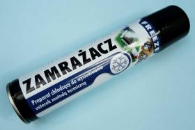 ZMRAŻACZ 300ml AG SPRAY