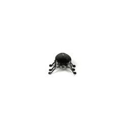 Hexbug Żuczek