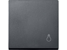 MERTEN Klawisz System M pojedynczy z oznaczeniem ''światło'' antracytowy MTN439914 SCHNEIDER ELECTRIC