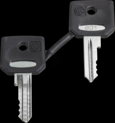 ZBG421E Spare keys for key-operated switch, 421E, 2 pieces