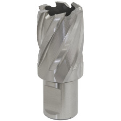 Worksafe RBHSS26S Rotabor Cutter HSS &#xD8;26mm - Cut Depth 25mm